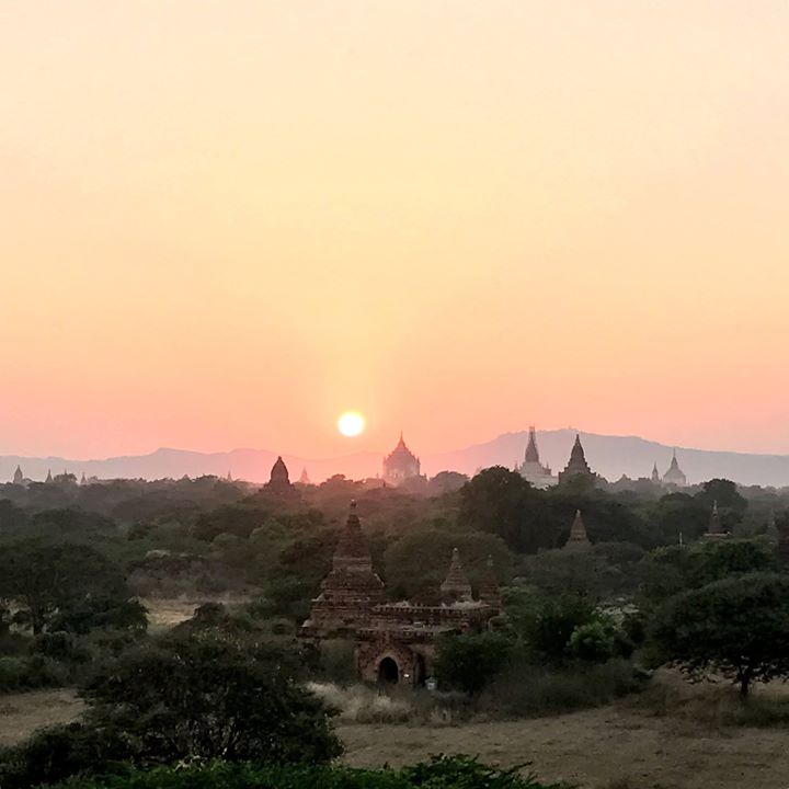 17017111_1446260792051643_4823790204839292396_o