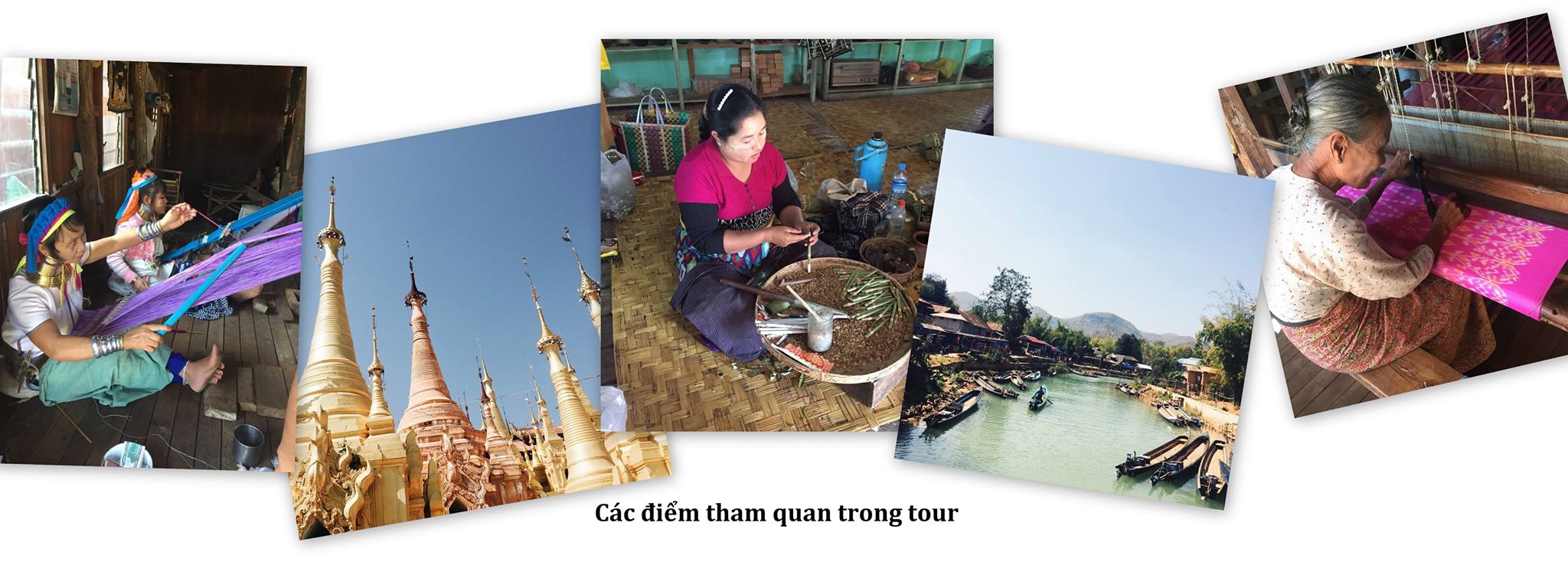 17157397_1446296098714779_8003158231649753241_o