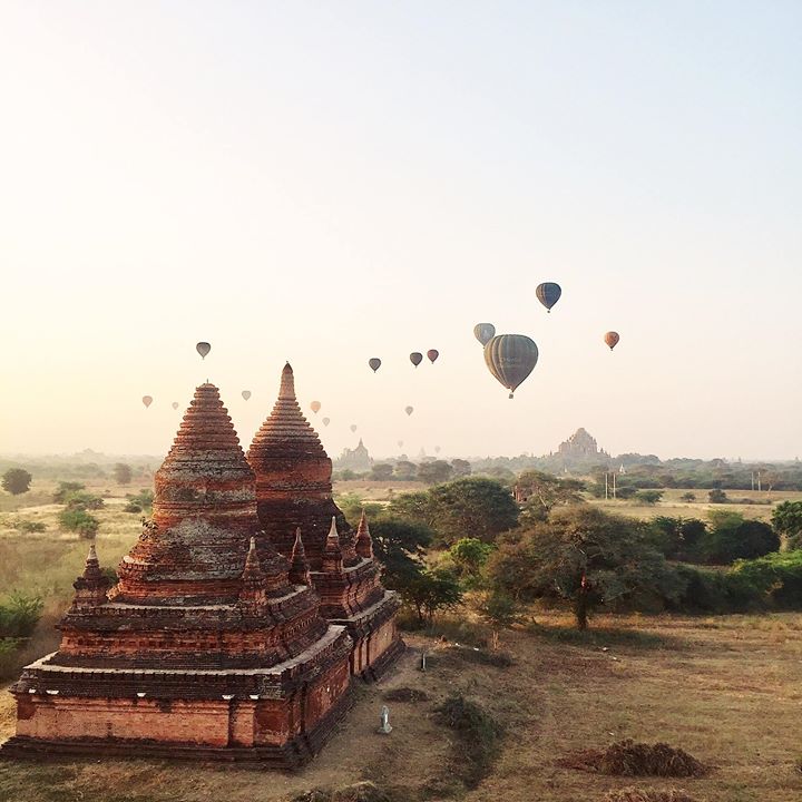 17191780_1446261192051603_8003581893958550517_o