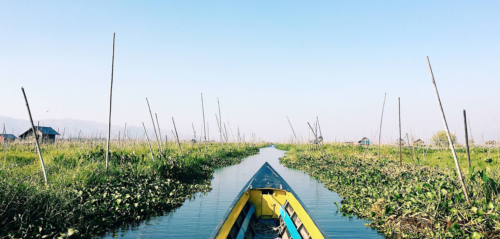 17191790_1446298718714517_217241852724656926_o